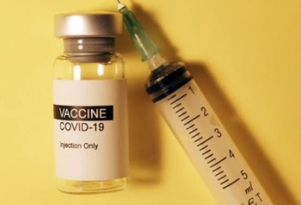 加国本周收海量疫苗 阿斯利康数据可喜