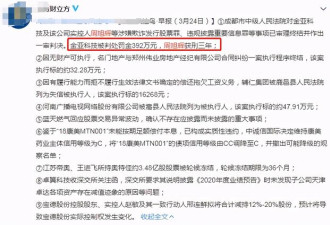 女神童蕾老公获刑3年！造假竟造出50亿身家！