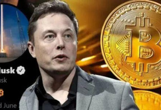 炒币一月胜过卖车 马斯克的比特币还能狂多久？
