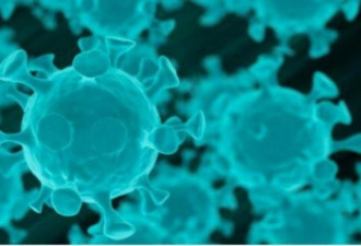 T细胞能识别3种新冠病毒变种 不用怕突变