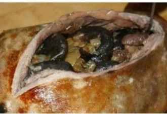 腌海雀：最粗暴的美食，因纽特人的最爱