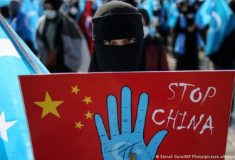 澳智库：中国运用西方社媒做新疆大外宣