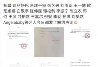 刘亦菲终止与阿迪合作 证明她真没有团队