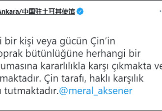 土耳其宣布召见中国大使 匿名人士透露理由