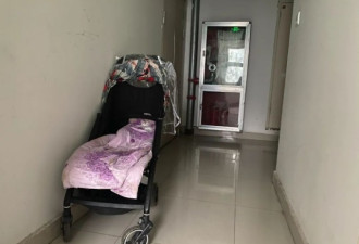 离婚前，29岁的她带着儿女从24高楼坠楼身亡