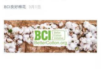 BCI上海办事处回应：未发现新疆有强迫劳动