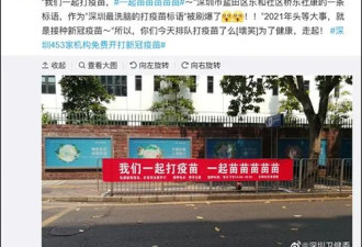一起苗苗苗苗!没想到打疫苗标语能这么上头