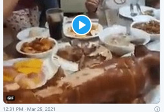 影片疯传!菲总统庆生"伸手抠向女佣私处" 辩称
