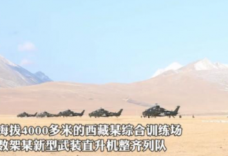 中国公布疑似武直-10西藏射击训练内容