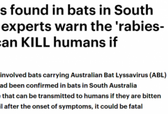 澳洲蝙蝠被发现携带致命病毒