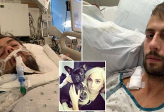 Lady Gaga遛狗员遭枪击入院 部分肺部被切除