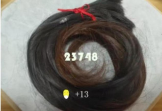 女子拍片纪录1年掉逾2万根头发 正常吗