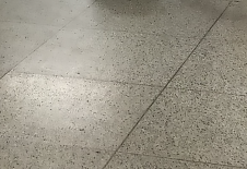 河狸大摇大摆进了地铁站