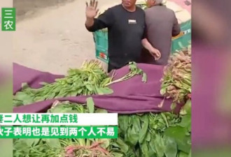 农民卖菠菜1300斤15元 菜贩:行情就这样 没办法