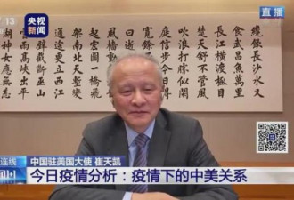 官媒解读：崔天凯5次与国内连线 背景书画含义