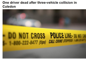安省Caledon三辆车相撞一名司机当场死亡