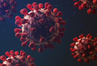 丹麦发现新冠病毒变异毒株，可致二次感染