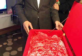向太疑不满张柏芝卖惨，点赞相关微博