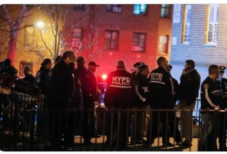 纽约布鲁克林男子枪杀妻女再自杀 9岁女儿报警