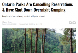 安省公园取消露营预定 热点景区开始猛开罚单