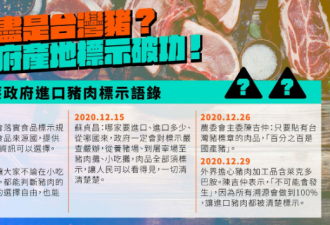 市面尽是台湾猪 国民党质疑进口美猪流向