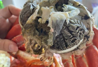 多伦多华人团购群卖变质雪蟹：吃完上吐下泻