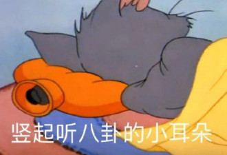 女海王瞒着CEO男友与富二代订婚？遭全网曝光