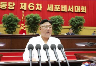 疫情、制裁 金正恩：朝鲜面临最严峻情势
