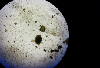 显微镜下月壤长啥样？月球样品实物在上海展出