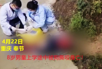 重庆8岁男童被狗咬死 家属索赔狗主人92万元