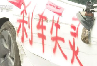 上海车展维权女车主行政拘留期满 已释放