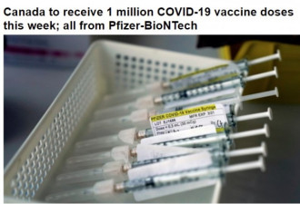 加拿大本周将收到一百万辉瑞疫苗