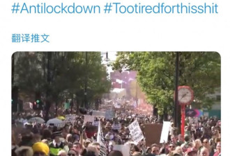 伦敦海德公园近万人聚集示威 英国医生想哭