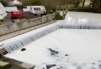 英国：2.8万公升牛奶倾泻而出 染白河川