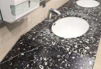贵阳机场厕所洗手池竟布满化石！距今约3亿年