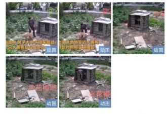 被性侵后又沦为泄欲工具: 她们太苦了…