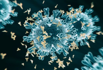 新冠病毒：抗体测试如何帮助应对疫情