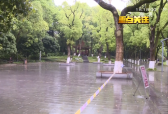 长沙烈士公园相亲角因骗婚投诉增多被封