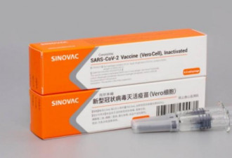 疾控中心承认：中国新冠疫苗效力只有半年