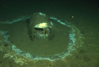美南加州海底疑现2.5万桶剧毒物！近生物已染病