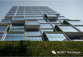 香港绿色建筑，如何避免起个大早赶个晚集？