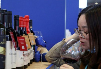 澳红酒对华出口暴跌96% 出口商损失恐超10亿