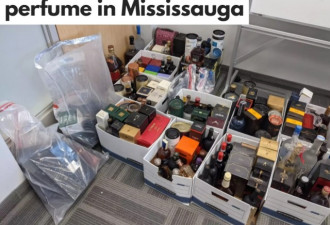密市两男子涉嫌盗窃价值11万名酒香水被捕