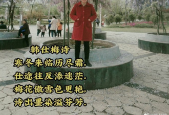 田埂上写诗的农妇，正策划一场离婚逃跑计划