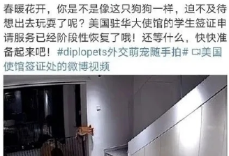 将中国学生比出去玩的狗 美驻华使馆道歉