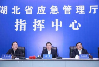王忠林任湖北省政府党组书记 开创了一个首例