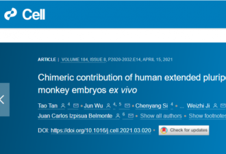 全球首个人猴混合胚胎 人类打开了潘多拉魔盒