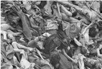 在东欧，5,000,000人被饿死