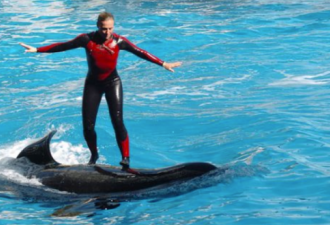 美国女驯兽师和5吨虎鲸相爱16年 被拖下水淹死