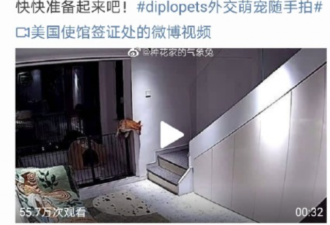 把中国留学生比喻成狗？美国使馆微博惹怒